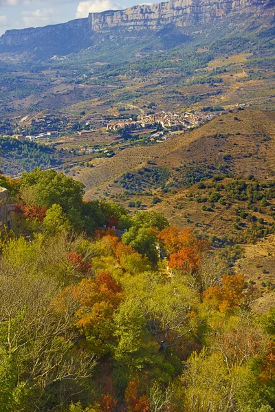 Kolory jesieni w drzewa. Hiszpania — Zdjęcie stockowe