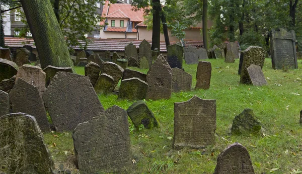 Gravstenar på den gamla judiska kyrkogården i Prag — Stockfoto