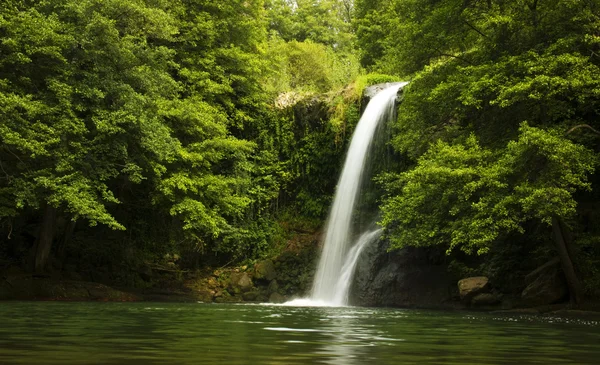 Cascade dans la forêt — Photo