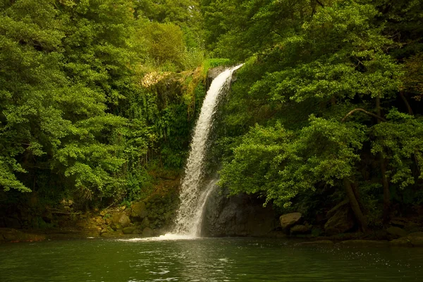 Waterfall in the forest — Stock Photo, Image