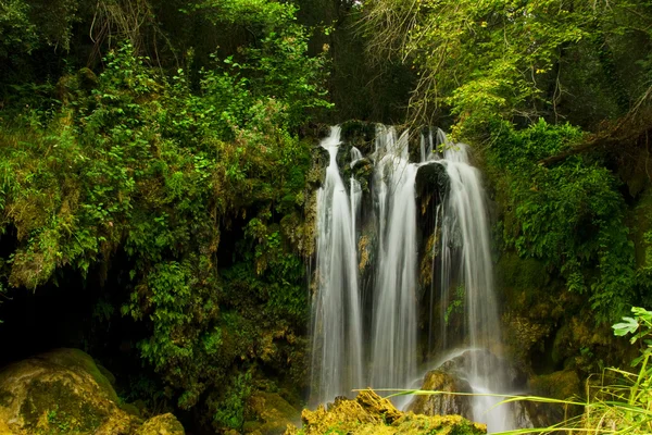 Cascade dans la forêt — Photo