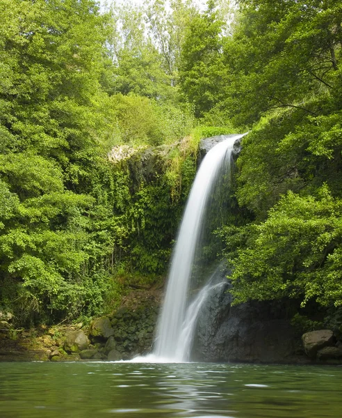 Cachoeira na floresta Imagem De Stock