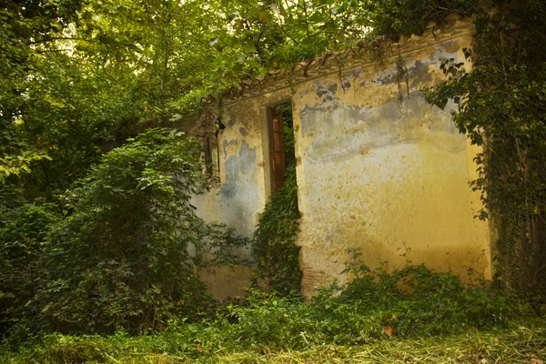 Terk edilmiş evde — Stok fotoğraf