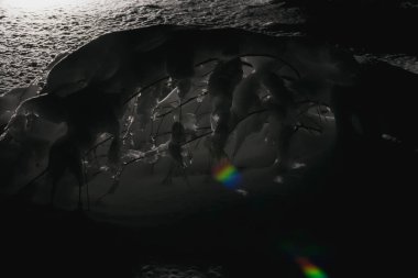 Karanlıkta ışıkta donmuş karla kaplı bir ağaç.