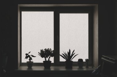 Ofis resepsiyon alanının camlı ve panjurlu renkli bir görüntüsü.