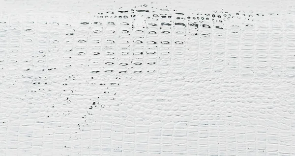 Fragmento Textural Una Vieja Maleta Pintada Blanco — Foto de Stock