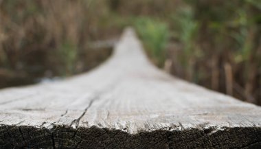 Uzun ahşap bir köprü ve tatlı su gölü yakınında çalılıklar.