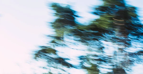 A blurry image of a forest from a car window while driving