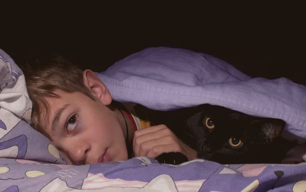 小さな男の子がベッドの毛布の下で猫と寝ている — ストック写真