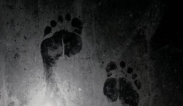 Отпечаток Ноги Туманном Замерзшем Стекле — стоковое фото