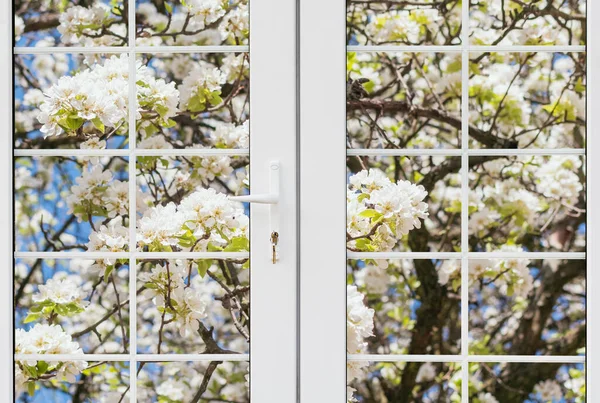 Widok Kwitnącego Drzewa Przez Duże Plastikowe Okno — Zdjęcie stockowe