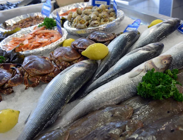 Raw fish on market counter — Stock Photo, Image