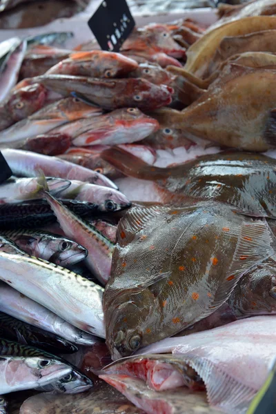 Peces planos, caballa, salmonete — Foto de Stock