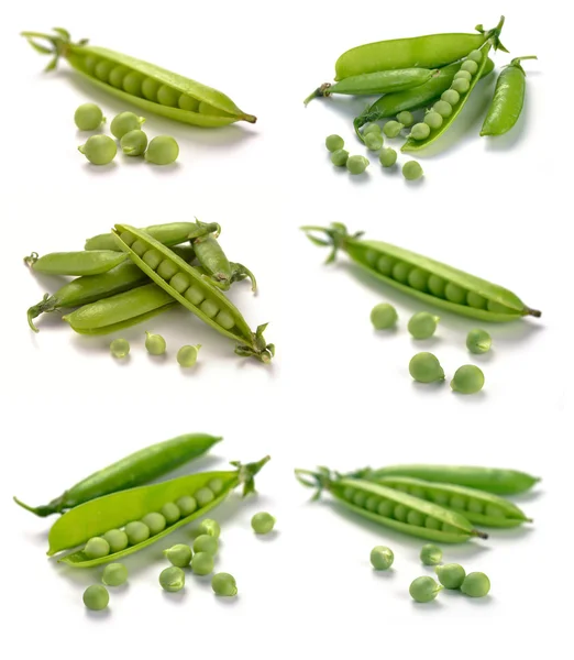 Guisante maduro vegetal —  Fotos de Stock