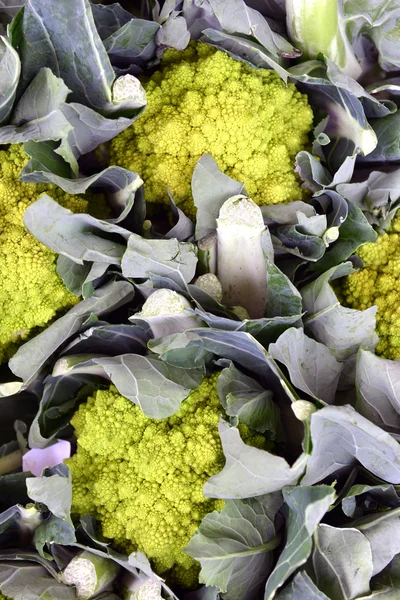 Repolho de brócolis Romanesco — Fotografia de Stock