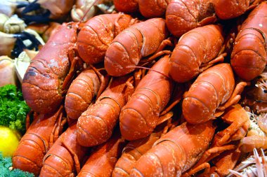 deniz deniz piyasada