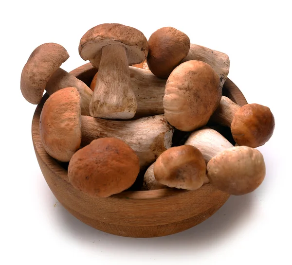 Cep mushrooms in a basket — Stock Photo, Image
