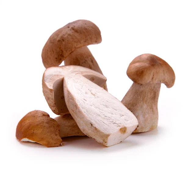 Ceps mushrooms — Stock Photo, Image