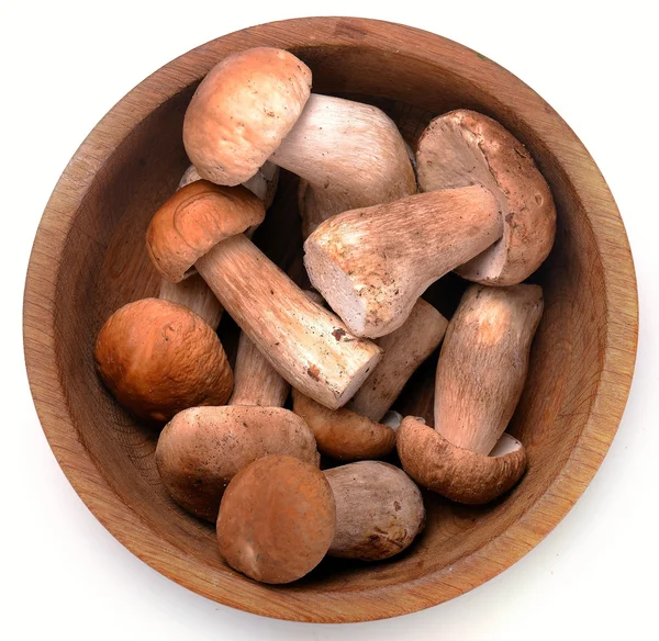 Cep mushrooms in a basket — Stock Photo, Image