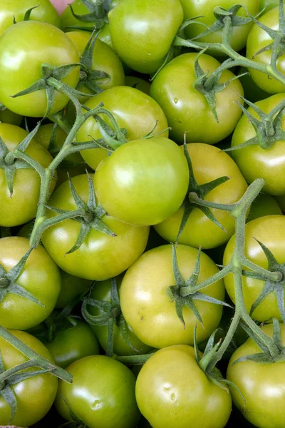 Tomates vertes sur le comte — Photo