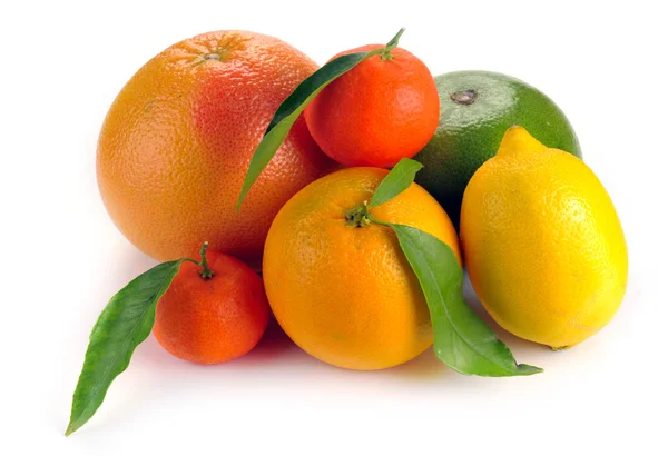 Set van citrusvruchten — Stockfoto