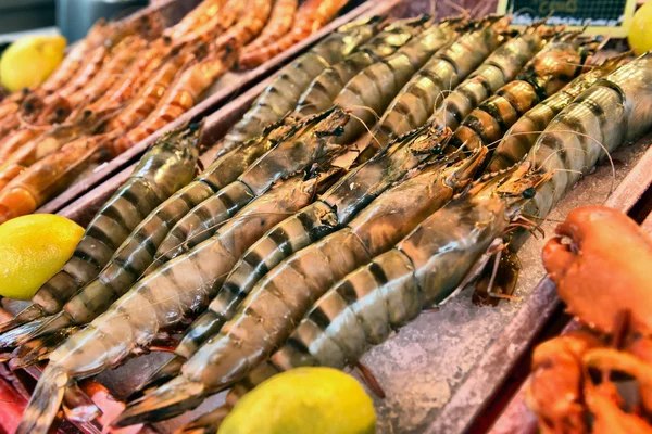 Show-window of seafood — Stock Photo, Image