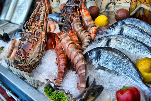 Showcase of seafood — Stock Photo, Image