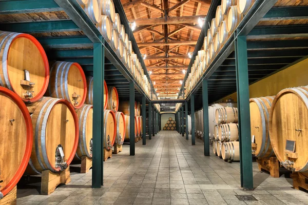 Casks in wine cellar — Stock Photo, Image