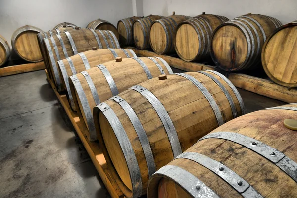 Casks in wine cellar — Stock Photo, Image