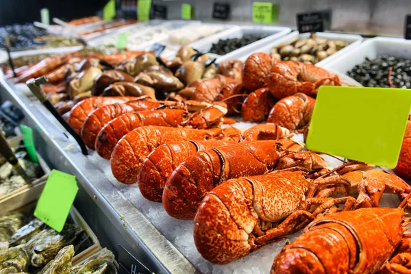 Showcase of seafood — Stock Photo, Image