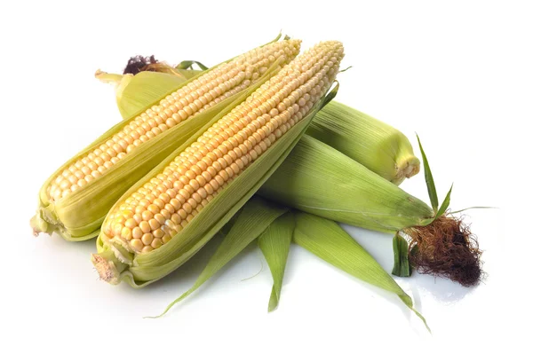 Ovoce čerstvé kukuřice se zelenými listy izolované — Stock fotografie