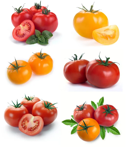 Set tomaten en bladeren van basilicum — Stockfoto