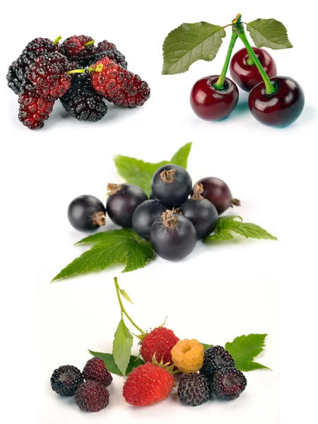 Set of different berries — Stock Photo, Image