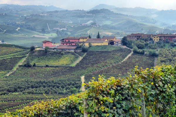 Panorama der Weinberge — Stockfoto