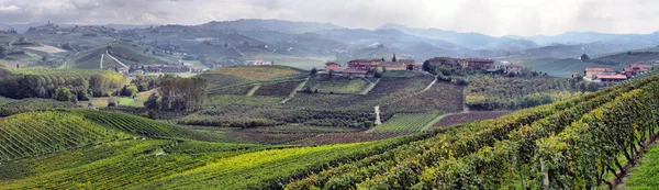 İtalya, üzüm bağları panorama