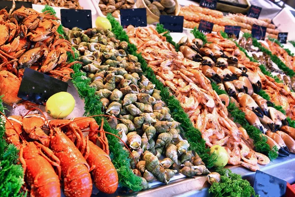 Showcase makanan laut — Stok Foto