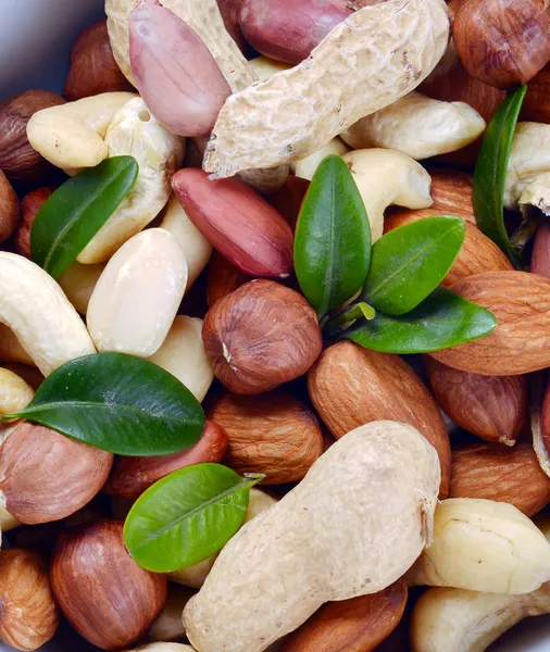 Set of nuts — Stock Photo, Image