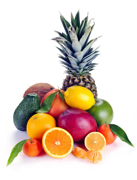 narenciye ve tropikal meyve kümesi