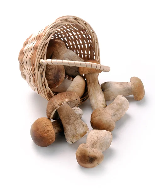 Mushrooms in a basket — Stock Photo, Image