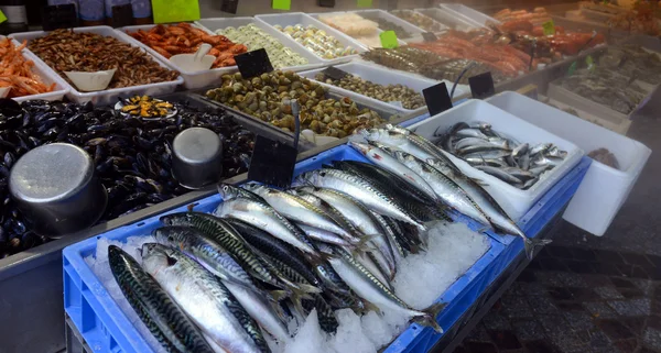 Muestra de mariscos — Foto de Stock