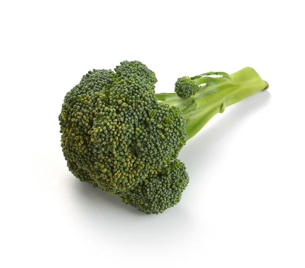 Légumes brocoli — Photo