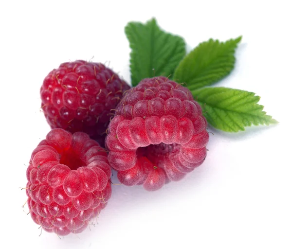 Raspberry with leaves — Stock Photo, Image