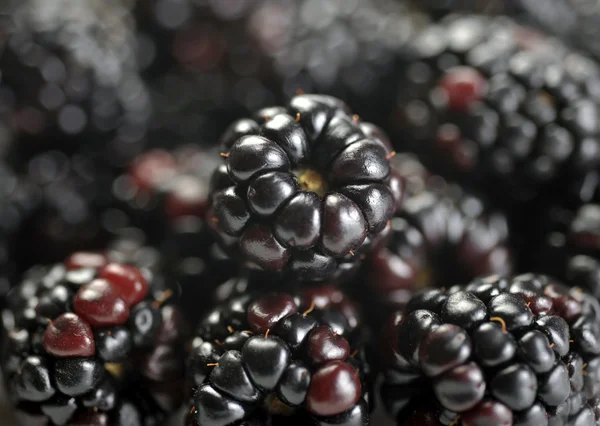 Чорний blackberry — стокове фото