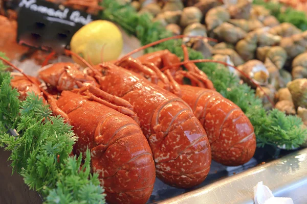 Cervical lobster — Stock Photo, Image