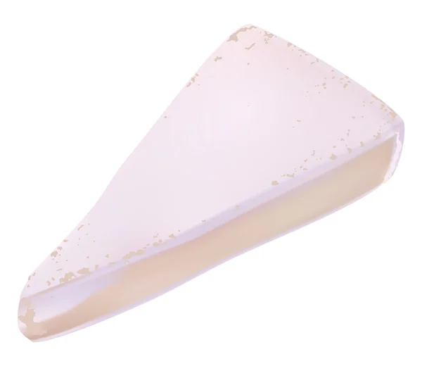 Brie peyniri — Stok Vektör