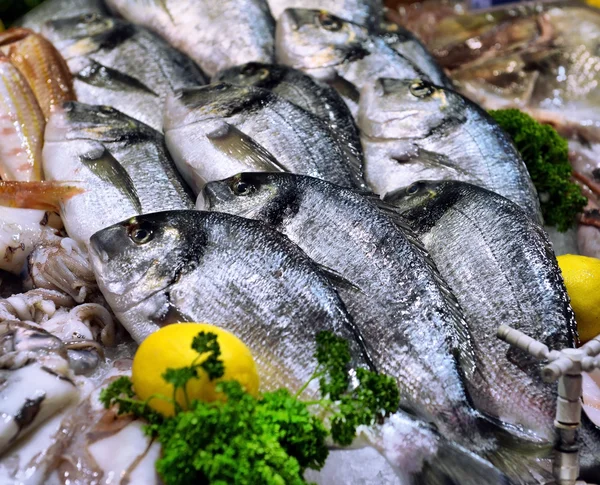 Presentation av skaldjur i havet marknaden — Stockfoto