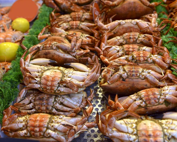 Fresh crabs — Stock Photo, Image