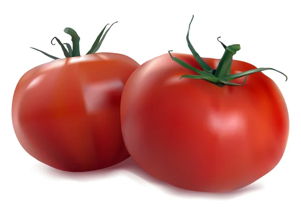 Dois tomates vermelhos —  Vetores de Stock