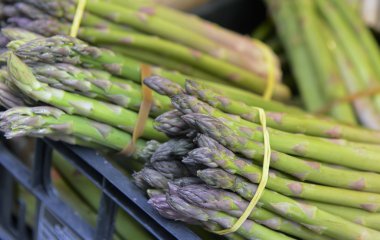 Bir avuç kuşkonmaz.