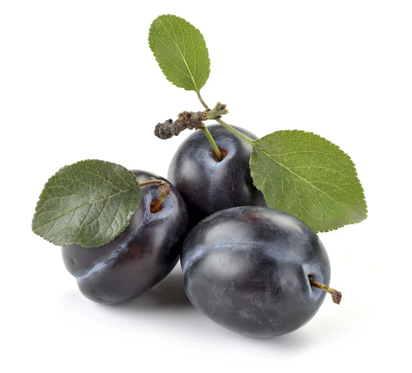 Plum and leaves — Stock Photo, Image